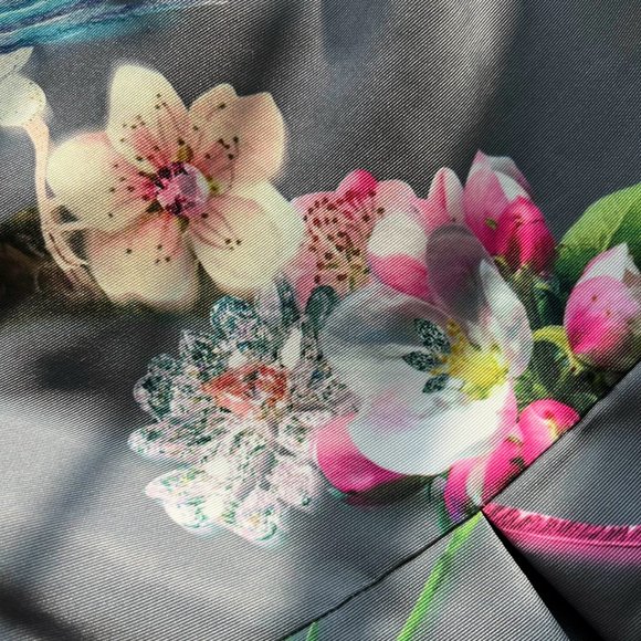 Stunning Ted Baker Flight of the Orient Dress - Picture 5 of 9